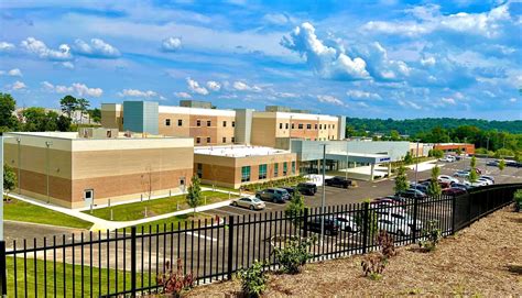 village behavioral health knoxville tn.
